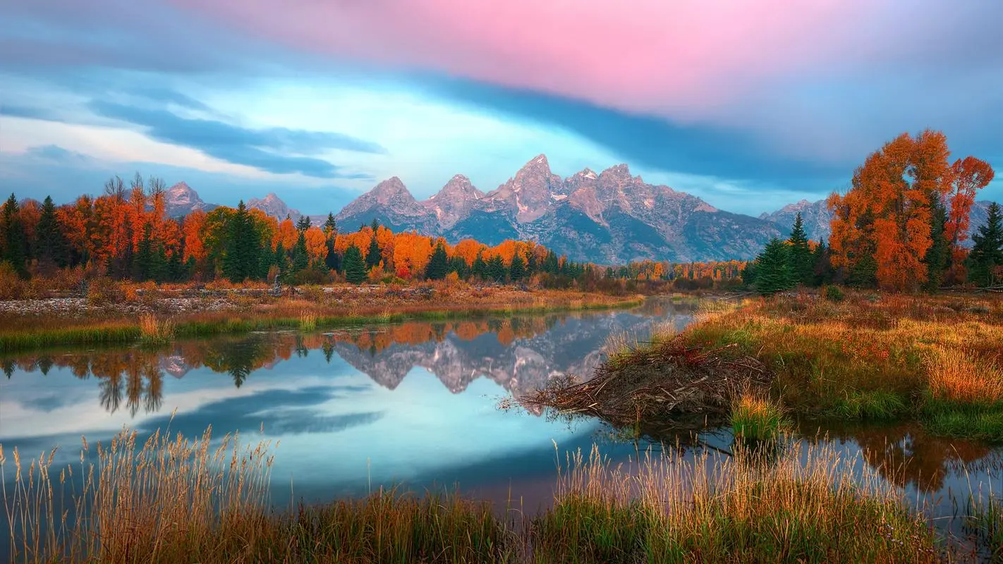 全自动高精度